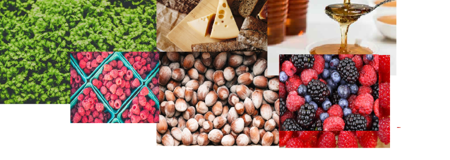 Kale Fry with shredded cheese,hazel nuts, blueberries and honey.