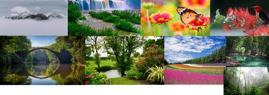 The Nature In It's Beauty, Which Is Still Left To Be Seen, Explored and Marvelled At.