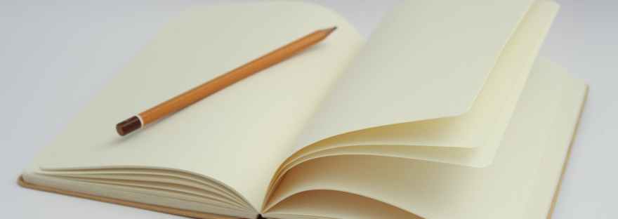 A Painter's Diaries.