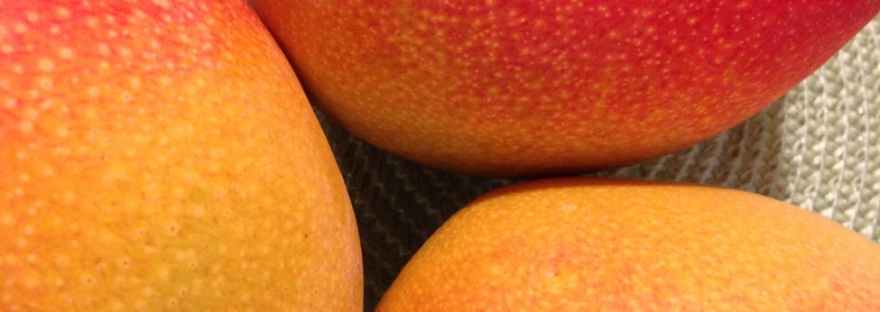 Mangoes in The Office.