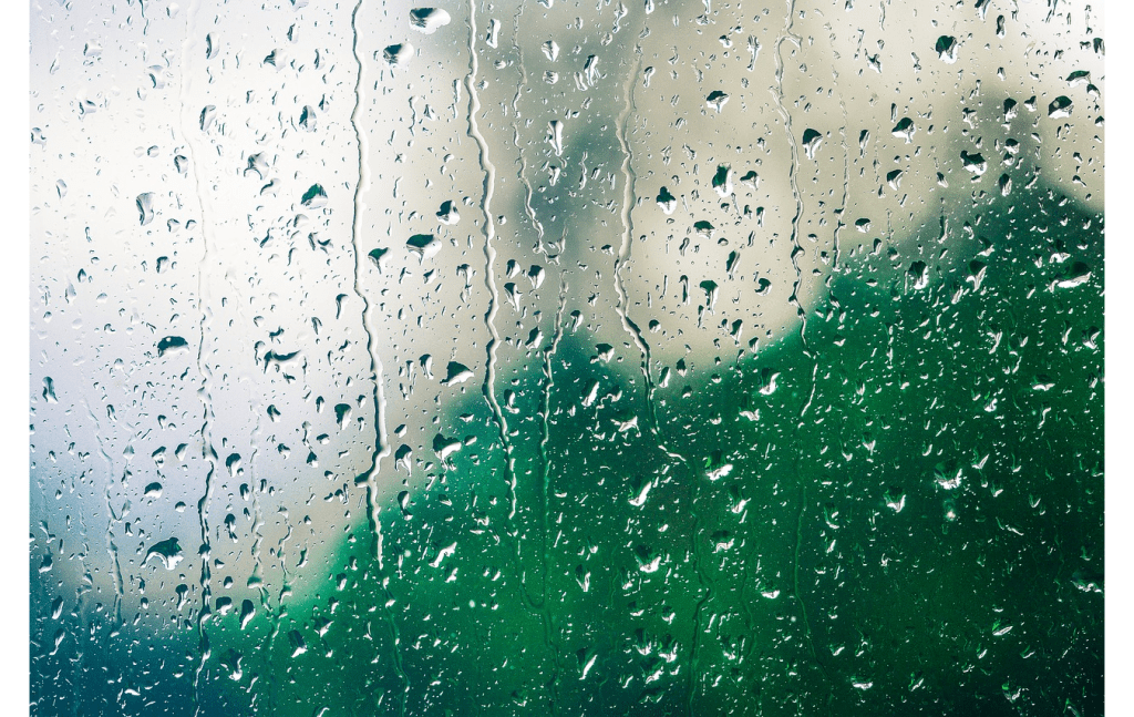 #RainyDays #FirstFewShowers #RainDrops #FreshRain #RainyWeather #FirstRain #RainySeason #WetWeather #RainyDaysAreHere #RainyDaysAhead #RainySeasonStarts #RainyMorning #RainyAfternoon #RainyEvening #RainyDayMoods #RainyDayVibes #RainyDayFeels #RainyDayBlues #RainyDayMusts





