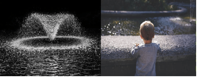 Beautiful Pond Water.