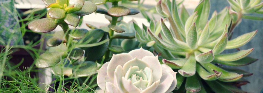 Just In Time-Part Two.